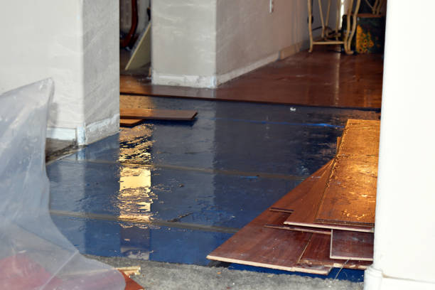 Professional Water Damage Restoration technician working in Owensville, OH
